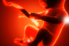 medical-3d-animation-of-a-human-fetus-AeroXpert Visuals Medical