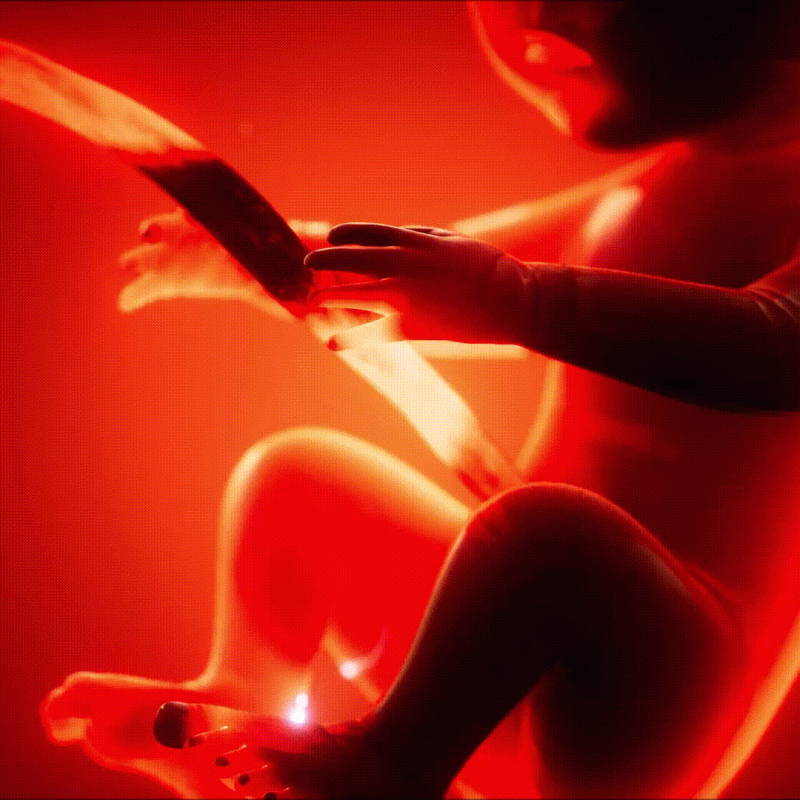 medical-3d-animation-of-a-human-fetus_AeroXpert_Visuals_Medical